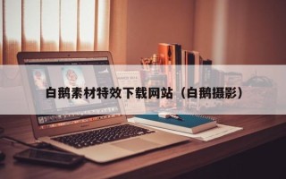 林芝白鹅素材特效下载网站（白鹅摄影）
